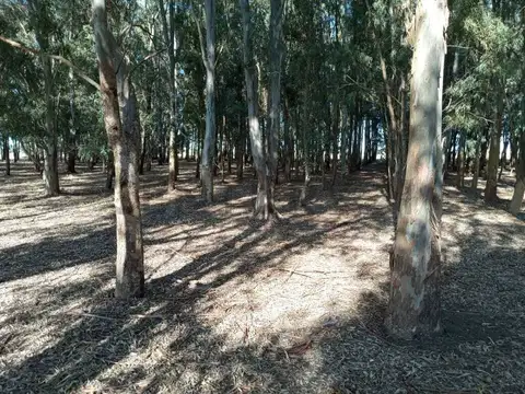 Campo en Venta en Berisso, Partido de Berisso
