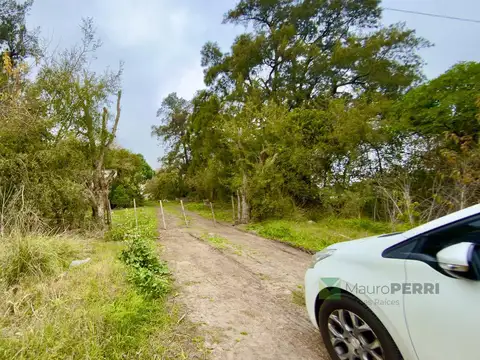 Campo en Venta en Lisandro Olmos Etcheverry, Partido de La Plata