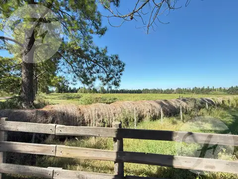 Campo en Venta en Gobernador Castro, Partido de San Pedro