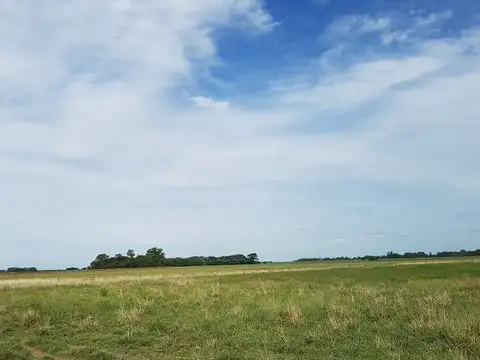 Campo en Venta en Laguna de Lobos, Partido de Lobos