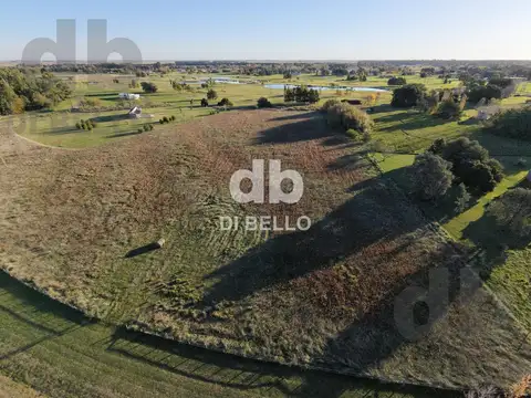 Campo en Venta en Estancia Benquerencia Farm Club, Countries y Barrios Cerrados en San Miguel del Monte