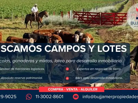 Campo en Venta en Olivos, Partido de Vicente López