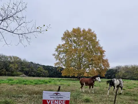 Campo en Venta en Mercedes, Partido de Mercedes