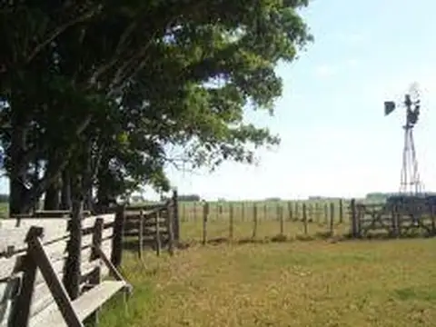 Campo en Venta en Las Flores, Partido de Las Flores