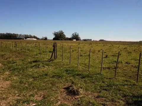 Campo en Venta en Miramar, Partido de General Alvarado
