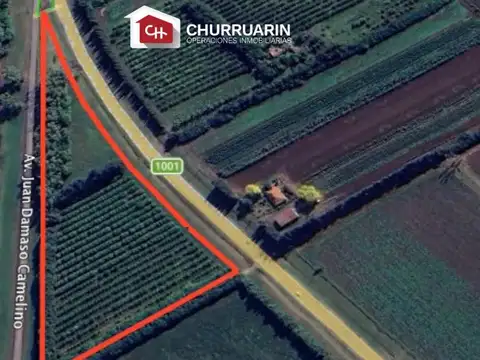 Campo en Venta en Rio Tala, Partido de San Pedro