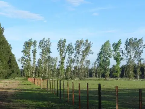 Campo en Venta en Baradero, Partido de Baradero