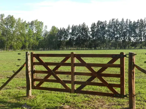 Campo en Venta en Baradero, Partido de Baradero