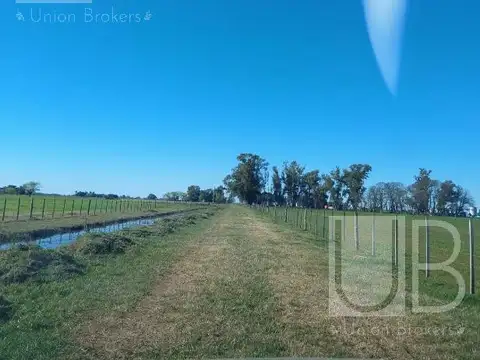 Campo en Venta en Saladillo, Partido de Saladillo