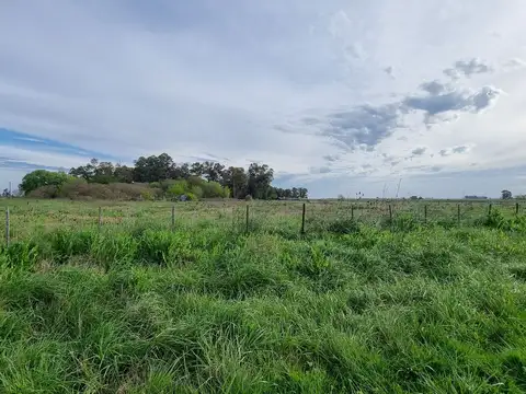 Campo en Venta en La Noria, Partido de Cañuelas