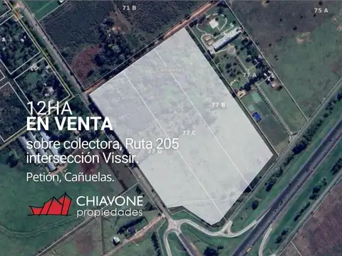 Campo en Venta en Alejandro Petion, Partido de Cañuelas