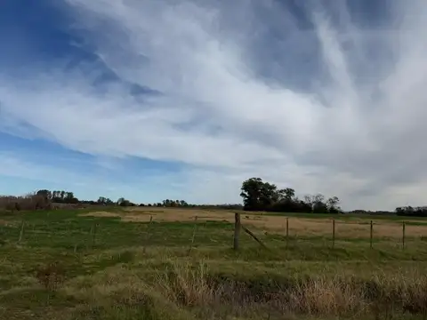 Campo en Venta en Las Chacras, Partido de Lobos