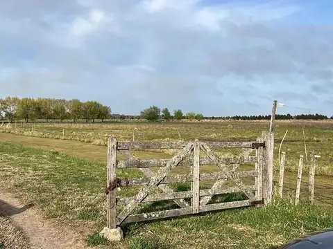 Campo en Venta en Pinamar, Partido de Pinamar