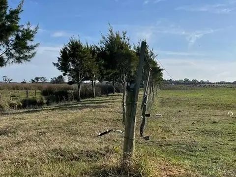 Campo en Venta en Pinamar, Partido de Pinamar