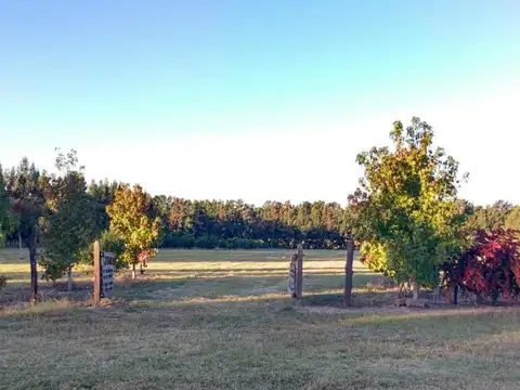 Campo en Venta en San Pedro, Partido de San Pedro