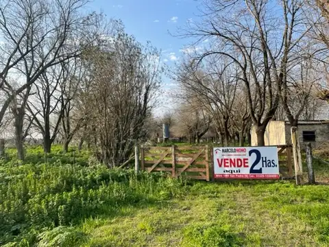 Campo en Venta en Doyle, Partido de San Pedro
