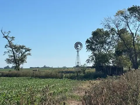 Campo en Venta en San Pedro, Partido de San Pedro