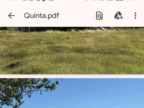 Campo en Venta en Chivilcoy, Partido de Chivilcoy