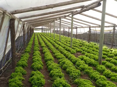 Campo en Venta en San Pedro, Partido de San Pedro