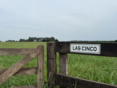 Campo en Venta en Villa Lia, Partido de San Antonio de Areco