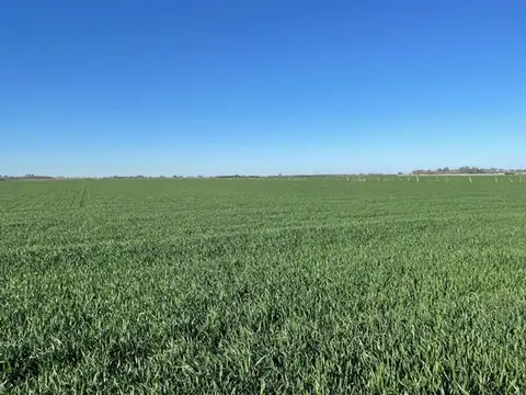 Campo en Venta en San Pedro, Partido de San Pedro