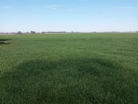 Campo en Venta en San Pedro, Partido de San Pedro