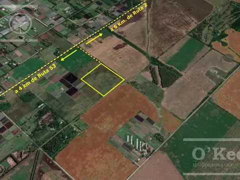 Campo en Venta en Centro Agricola el Pato, Partido de Berazategui