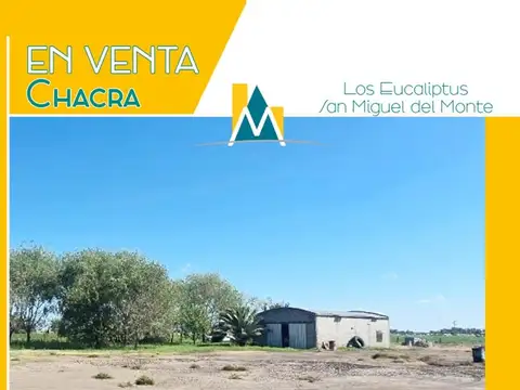 Campo en Venta en Zona Rural, San Miguel del Monte