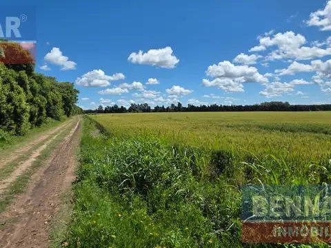 Campo en Venta en Vuelta de Obligado, Partido de San Pedro