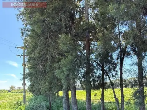 Campo en Venta en Rio Tala, Partido de San Pedro