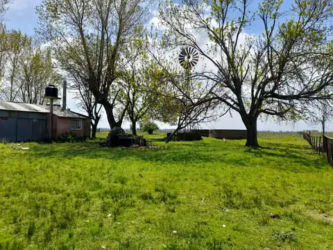 Campo en Venta en Domselaar, Partido de San Vicente