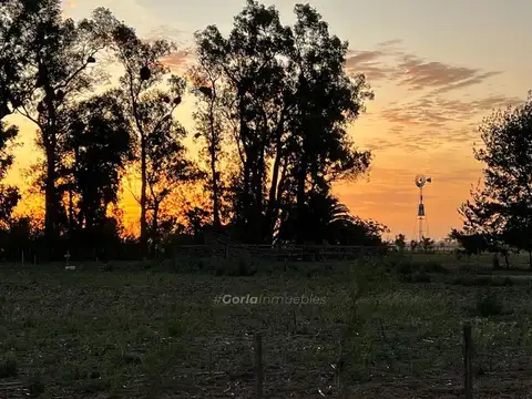 Campo en Venta en Lobos, Partido de Lobos