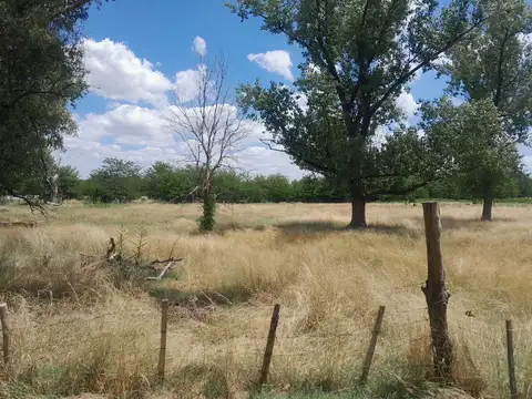 Campo en Venta en General Rodriguez, Partido de General Rodríguez