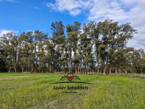 Campo en Venta en Mercedes, Partido de Mercedes