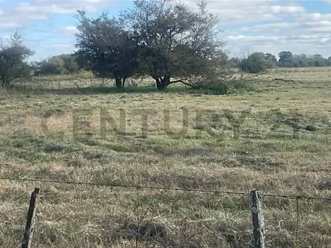 Campo en Venta en La Plata, Partido de La Plata