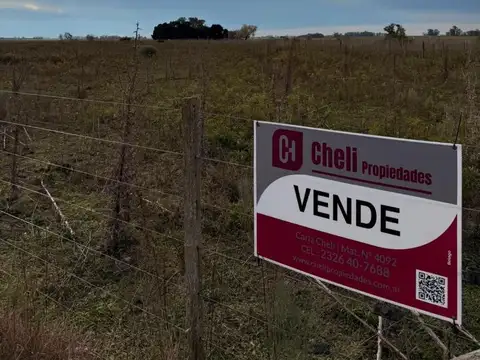 Campo en Venta en San Antonio de Areco, Partido de San Antonio de Areco