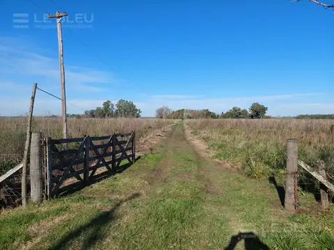 Campo en Venta en Lobos, Partido de Lobos
