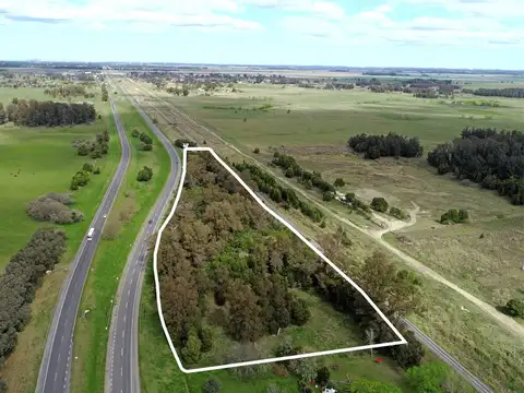 Campo en Venta en Mar del Plata, Partido de General Pueyrredón