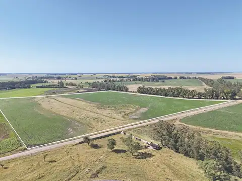 Campo en Venta en Miramar, Partido de General Alvarado