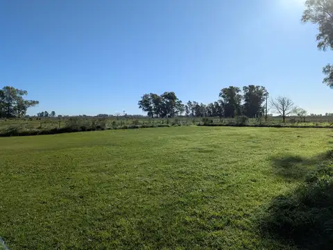 Campo en Venta en Zapiola, Partido de Lobos