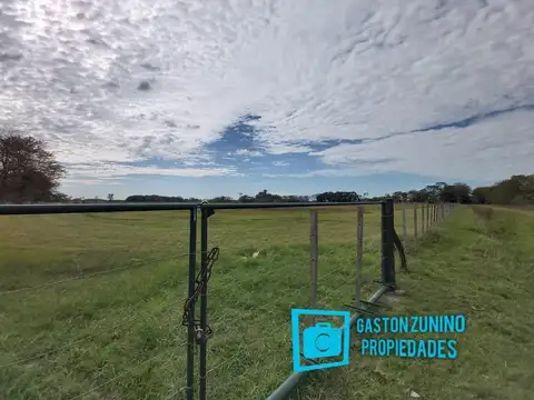 Campo en Venta en Mercedes, Partido de Mercedes