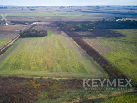 Campo en Venta en La Luisa, Partido de Capitán Sarmiento
