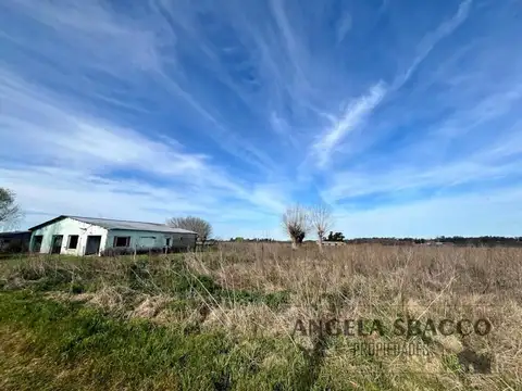 Campo en Venta en Torres, Partido de Luján