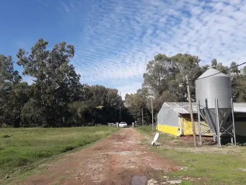 Campo en Venta en Pilar, Partido de Pilar
