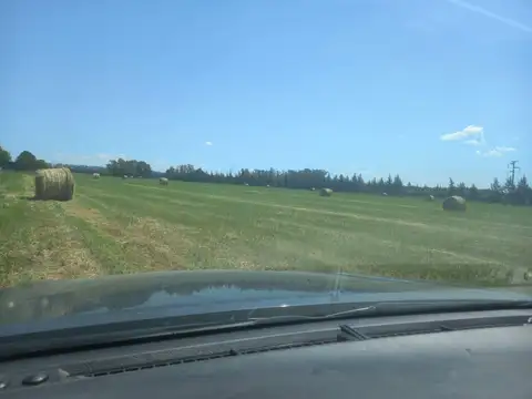 Campo en Venta en Ruta 9 Kilómetro 169 5, Partido de San Pedro
