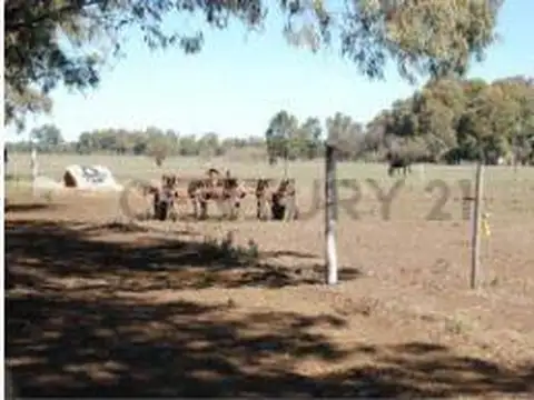 Campo en Venta en Coronel Dorrego, Partido de Coronel Dorrego