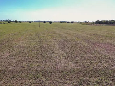 Campo en Venta en Navarro, Partido de Navarro