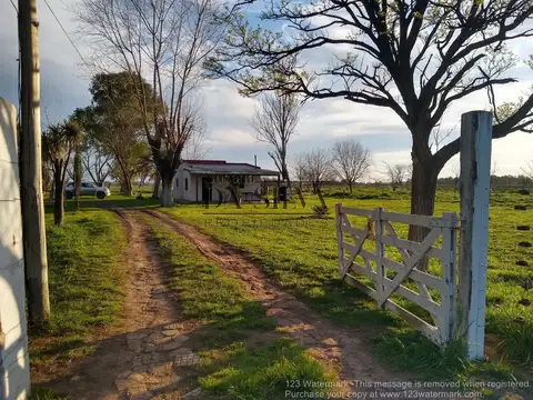 Campo en Venta en Marcos Paz, Partido de Marcos Paz