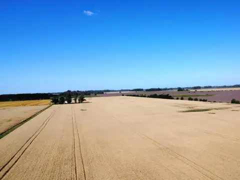 Campo en Venta en Carlos Keen, Partido de Luján