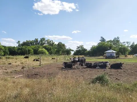 Campo en Venta en Las Chacras, Partido de Lobos